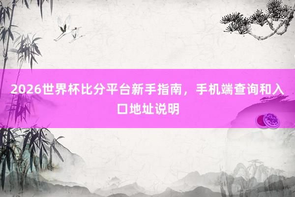 2026世界杯比分平台新手指南，手机端查询和入口地址说明