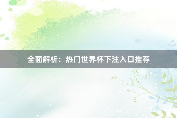 全面解析：热门世界杯下注入口推荐