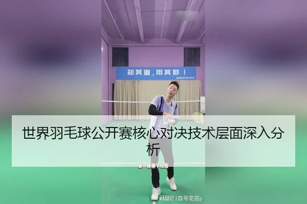 世界羽毛球公开赛核心对决技术层面深入分析